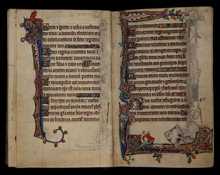 A giant Skate startles a man, border decoration from the Macclesfield Psalter, Use of Sarum, East Anglia, c.1330
