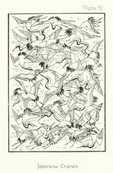 Nature in Ornament: Japanese Cranes