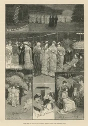 Night Fete at the Botanic Gardens