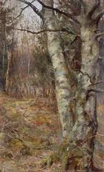 Old Warren, Bryanston