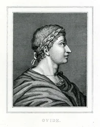 Ovid