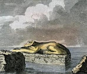 Part of an Egyptian Sphinx Found in the Ruins of the Ancient City of Canopus