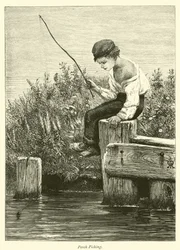 Perch Fishing