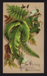 Plant leaves, Christmas greetings card, late 19th or early 20th Century