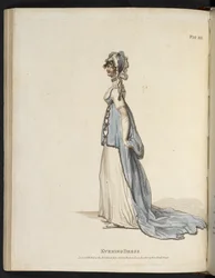 Plate from 