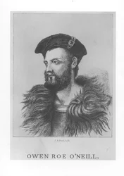 Portrait of Owen Roe O
