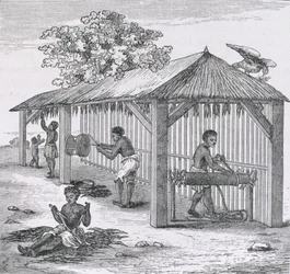 Preparing Tobacco, from 