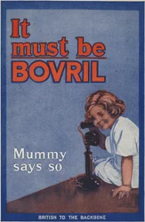 Rear Cover of the Bovril Handy Book and Diary of the War