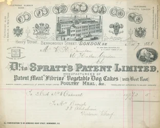 Receipt for Dr Spratt