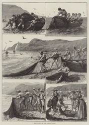 Reta-Fishing on the Corsican Coast