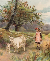 Returning Home