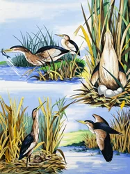 River Birds Montage