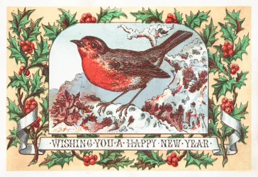 Robin standing on snowy branch