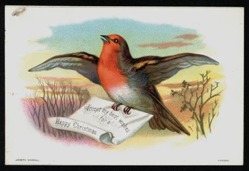 Robin with a Christmas Message, Greetings Card