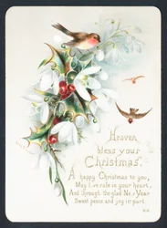 Robins with Holly and Snowdrops