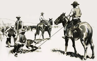 Roping and Branding Cattle in the Wild West