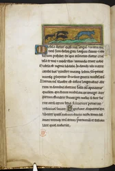 Mice chasing a cat, from Bestiary, Lapidary