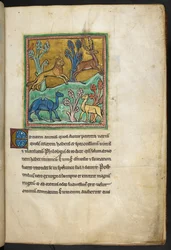 A leopard chasing a stag, with a camel and another animal, from Bestiary, Lapidary
