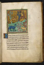Leopard chasing a stag, with a camel and another animal, from Bestiary, Lapidary