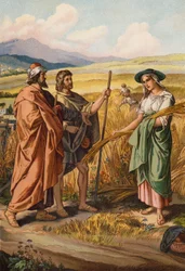Ruth Asking Boaz if She Can Glean in His Field