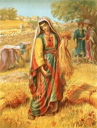 Ruth in the Corn-Field
