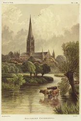 Salisbury Cathedral in Salisbury