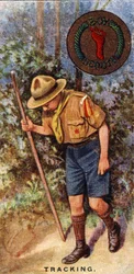 Scout Tracking Badge