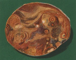 Seaside Pebble