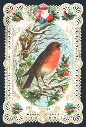 Singing Robin on Branch