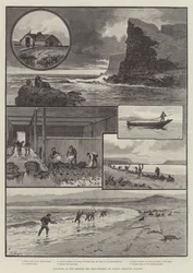 Sketches of the Behring Sea Seal-Fishery, St Paul