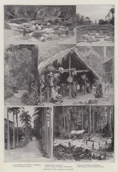 Sketches on the Venezuelan Boundary