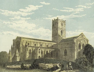 St David