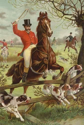 Tally-ho!