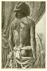Tattooed Japanese Servant