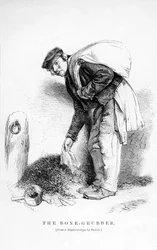 The Bone-Grubber