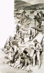 The Californian Gold Rush