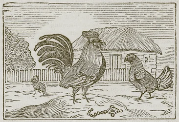 The Cock and the Jewel