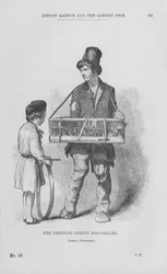 The Crippled Street Bird-Seller