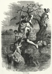 The Deluge
