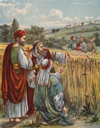 The Disciples Plucking Corn