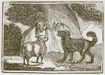 The Dog and the Sheep