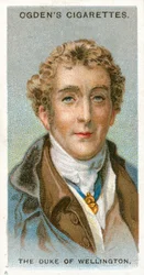 The Duke of Wellington