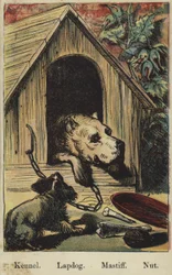 The Farmyard Alphabet