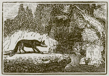 The Fox and the Sick Lion