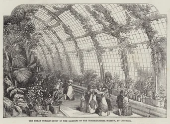The Great Conservatory in the Gardens of the Horticultural Society, at Chiswick