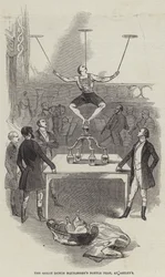 The Great Dutch Equilibrist