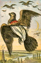 The Kite and Cock Robin