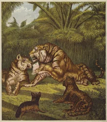 The Lion