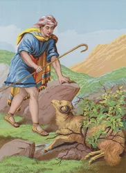 The Lost Sheep