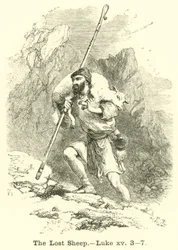 The Lost Sheep